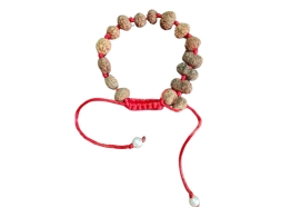 1 to 14 Mukhi Indonesian Rudraksha Bracelet