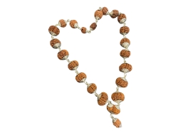 1 to 14 Mukhi Nepali Sidha Mala
