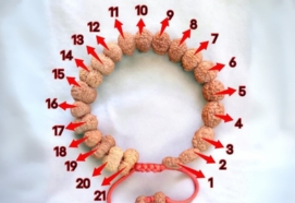 1 to 21 Mukhi Indonesian Rudraksha Bracelet