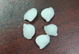 Mach Mani (Fish Pearl)