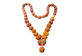 1 to 14 mukhi Nepali sidha mala